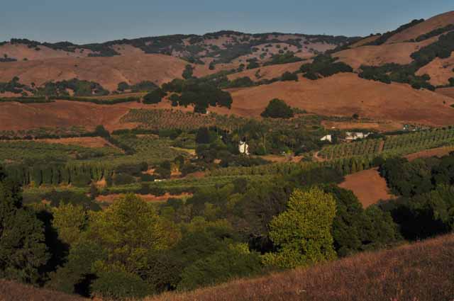 earthquake hills Marin County